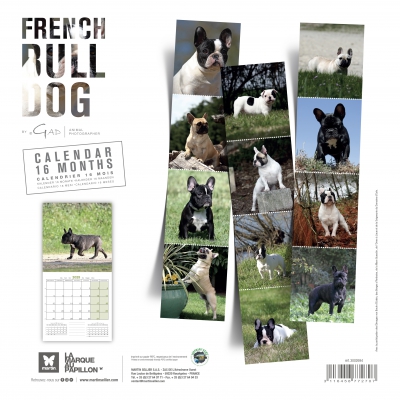 bk Calendrier chien 2025 - Bouledogue français - Martin
