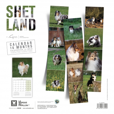 bk Calendrier chien 2025 - Shetland - Martin