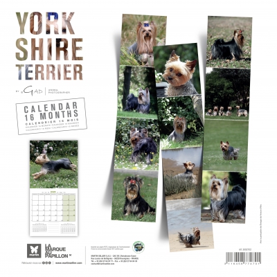 bk Calendrier chien 2025 - Yorkshire - Martin