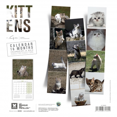Calendrier 2025 - Chatons - Martin 1