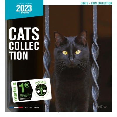 Chats - calendrier 2024 - Martin Sellier