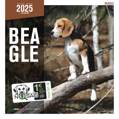 Calendrier chien 2025 - Beagle - Martin