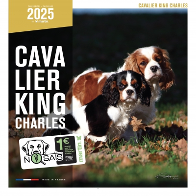Calendrier chien 2025 - Cavalier King Charles - Martin