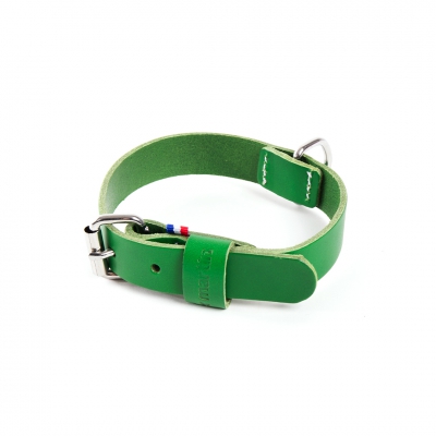 Collier cuir pleine fleur vert pour chien