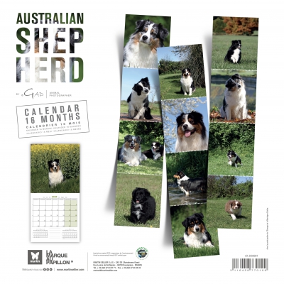 Dos Calendrier chien 2025 - Berger Australien - Martin