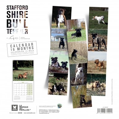 Dos Calendrier chien 2025 - Stafford Shire Bull Terrier - Martin