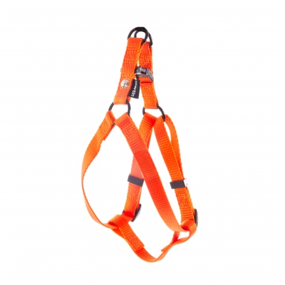 Harnais baudrier pour chien en nylon orange ok