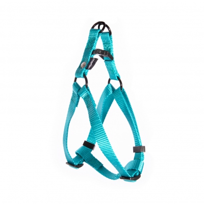 Harnais baudrier pour chien en nylon turquoise ok