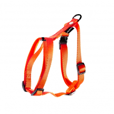 Harnais nylon orange ok