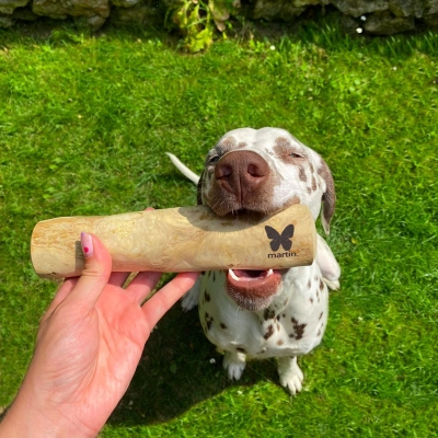 Jouet à mâcher - Baton en bois de caféier pour chien 3