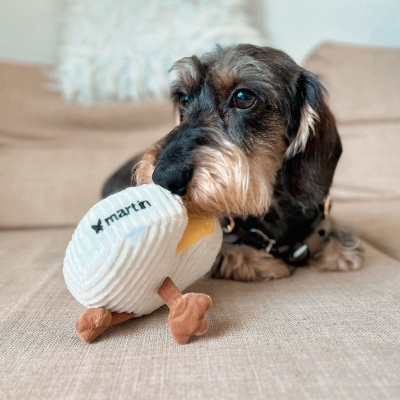 Jouet peluche pour chien - Camembert 8