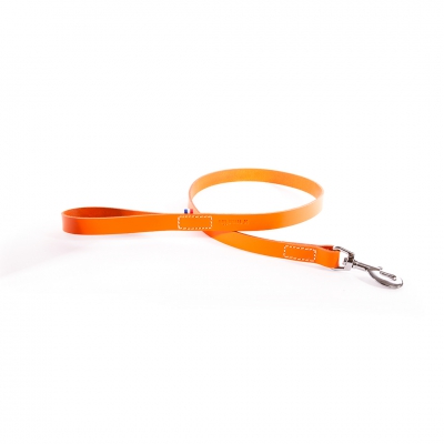 Laisse en cuir orange pour chien 2