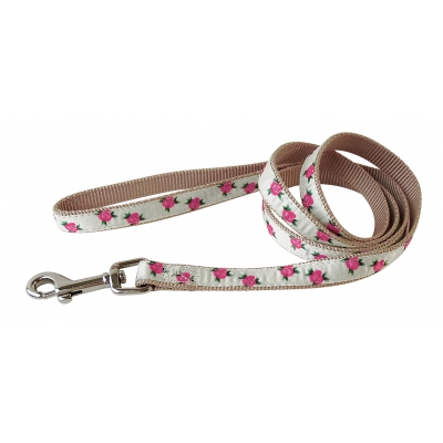 Laisse pour chien - nylon romantique beige