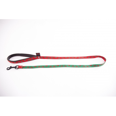 Laisse pour chien rouge vert - pattes originales