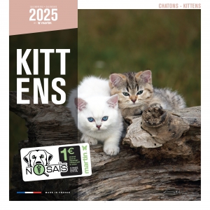 Calendrier 2025 - Chatons - Martin