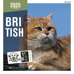 Calendrier chat 2025 - British - Martin