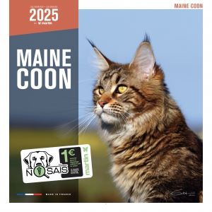 Calendrier chat 2025 - Maine Coon - Martin