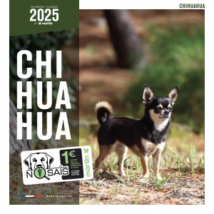 Calendrier chien 2025 - Chihuahua - Martin