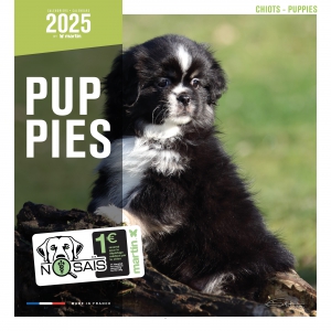 Calendar 2025 -  Puppies - Martin