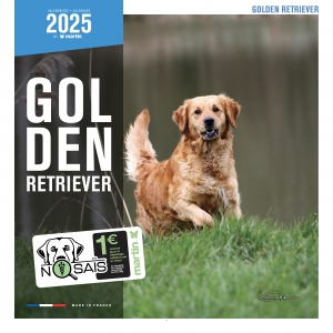 Calendrier chien 2025 - Golden Retriever - Martin