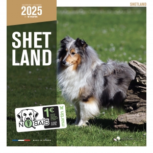 Calendrier chien 2025 - Shetland - Martin