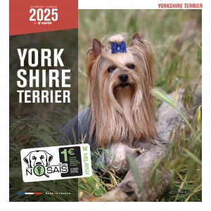 Calendrier chien 2025 - Yorkshire - Martin