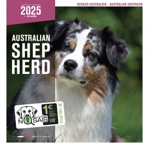 Calendrier chien 2025 - Berger Australien - Martin