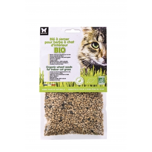 Graines d'herbe à chat Bio en disque pré-semé en sachet