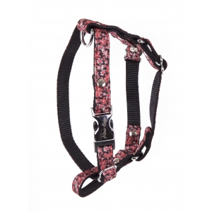 Nylon Dog Harness "Etoiles" Grenadine - S