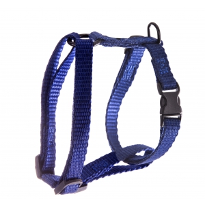 Harnais nylon bleu réglable pour chien