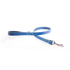 blue leather dog leash