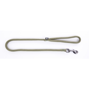 Dog lead - rounded nylon - green