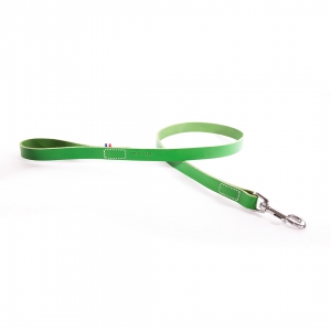 green leather dog leash