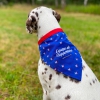 Bandana Supporters - Collection Frenchy 6