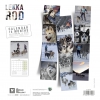 bk Calendrier chien 2025 - Lekkarod - Chiens de traineaux - Martin