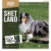 Calendrier chien 2025 - Shetland - Martin