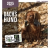 Calendrier chien 2025 - Teckel - Martin