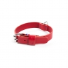 Collier cuir pleine fleur rouge pour chien - 26 à 31 cm