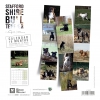 Dos Calendrier chien 2025 - Stafford Shire Bull Terrier - Martin