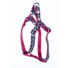 Nylon dog harness "Etoile" Collection Black