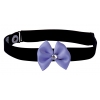 Velvet padded collar - purple