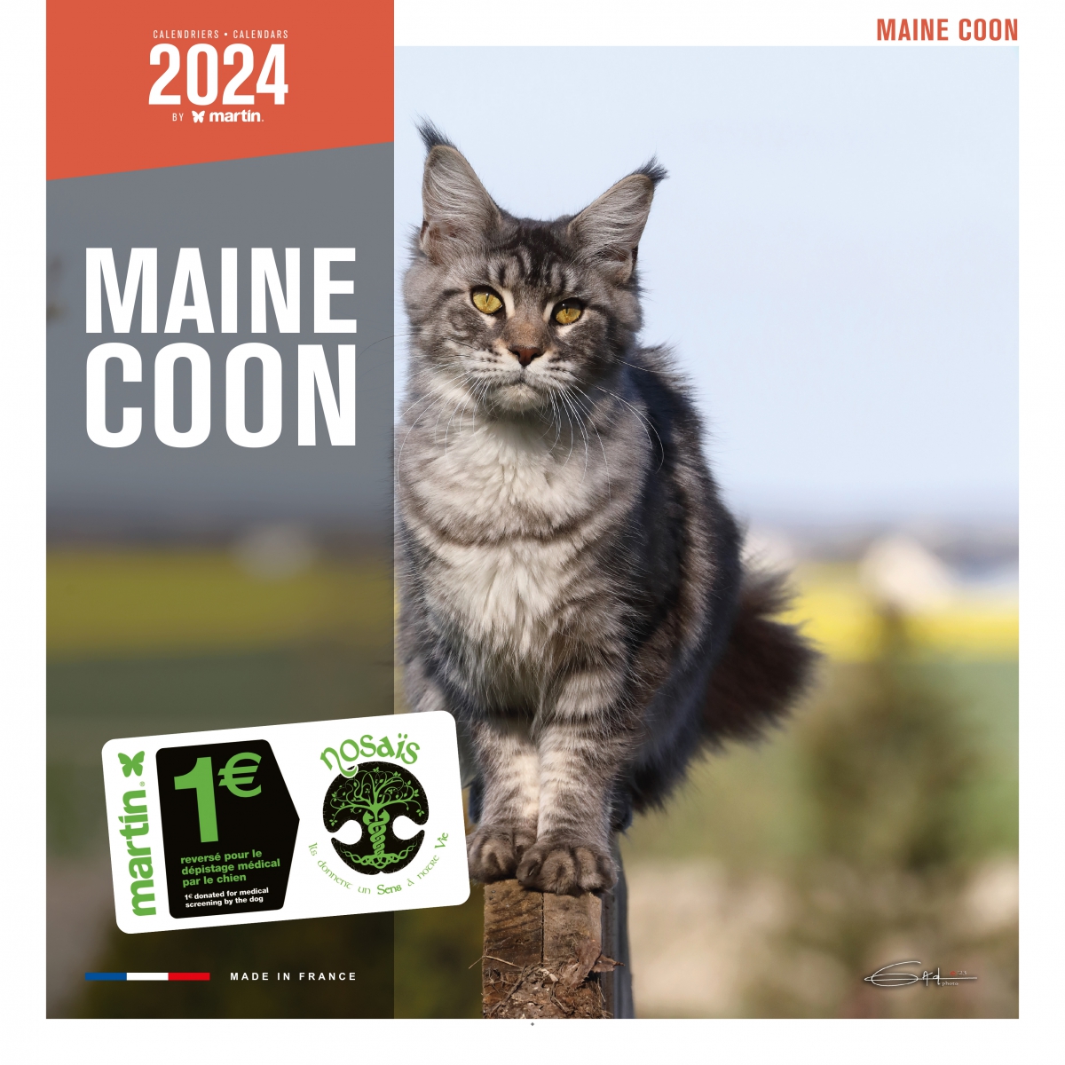 Chatons - calendrier 2024 - Martin Sellier